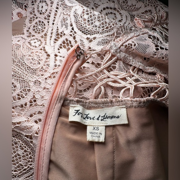 For Love & Lemons Mon Cheri Dress Ballet Blush Pink Lace Mini Size XS** - Picture 4 of 14